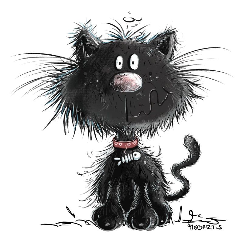 Drollige Schwarze Katze