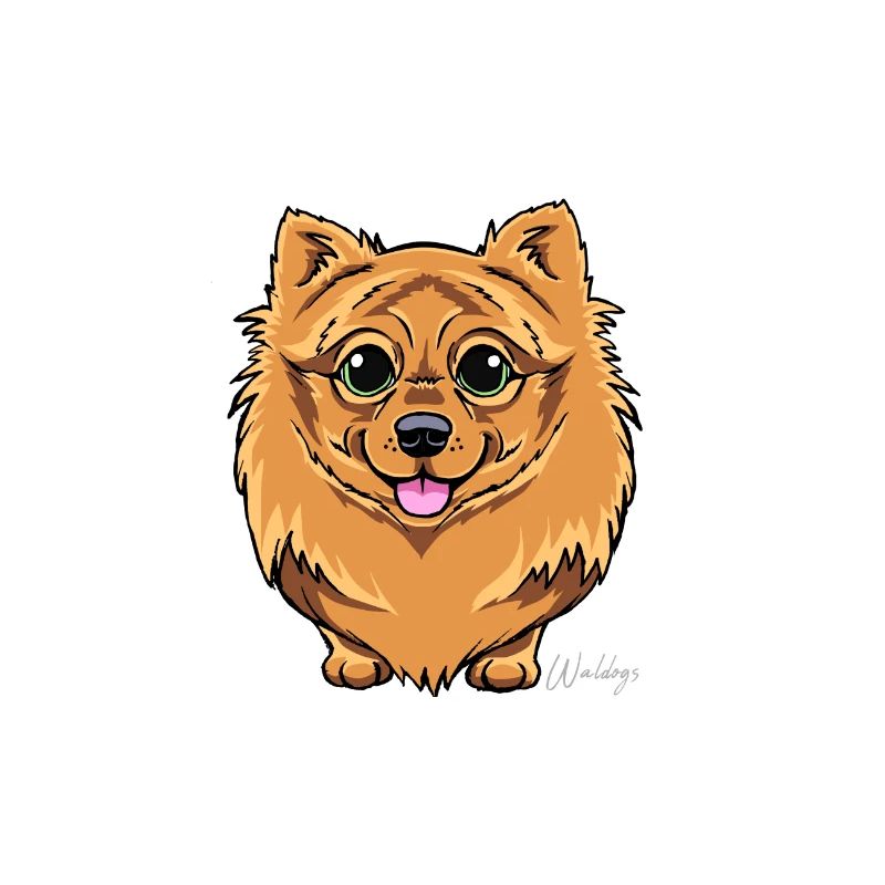 Kleinspitz Fluffy VI