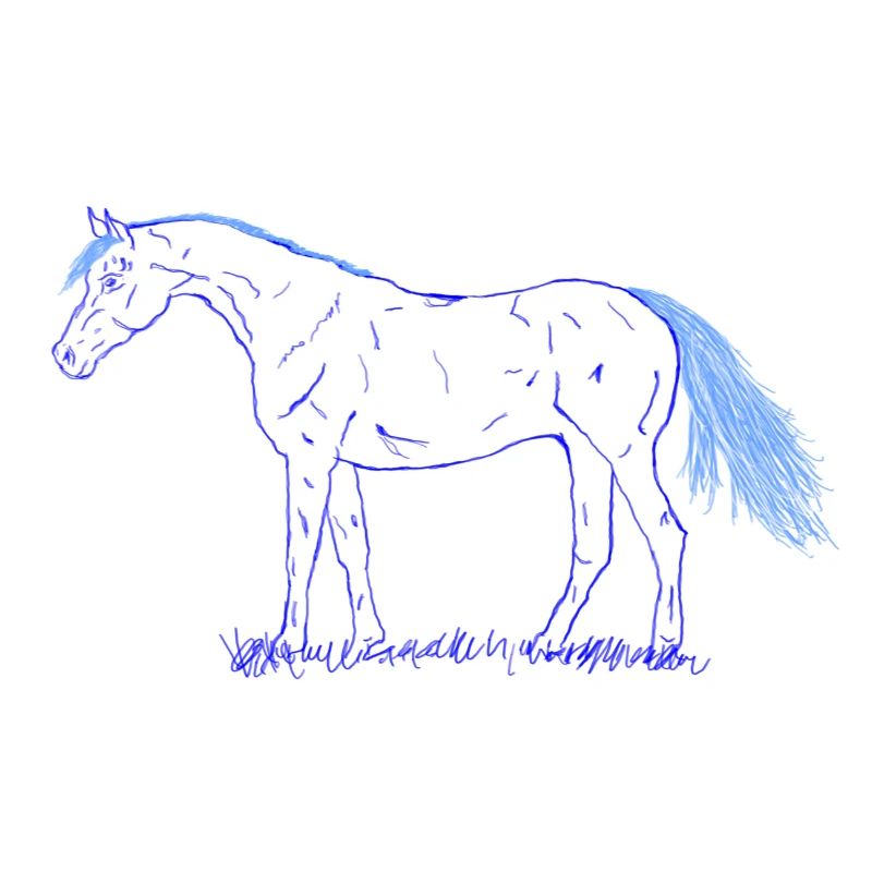 Pferd