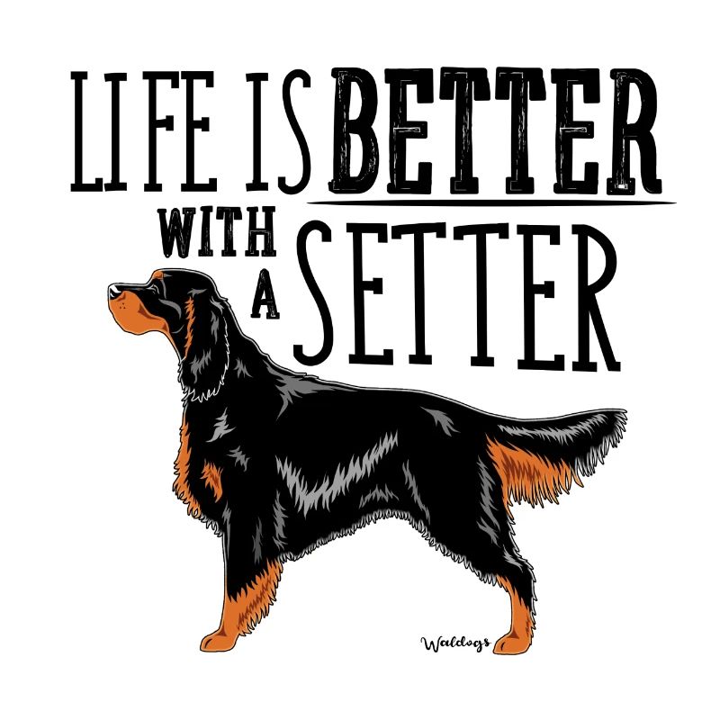 Gordon Setter Besser