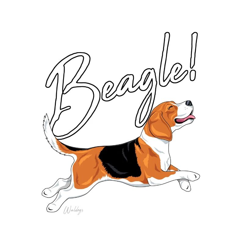 Beagle!