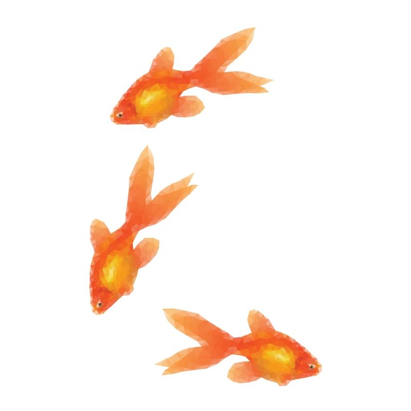 Poissons rouges