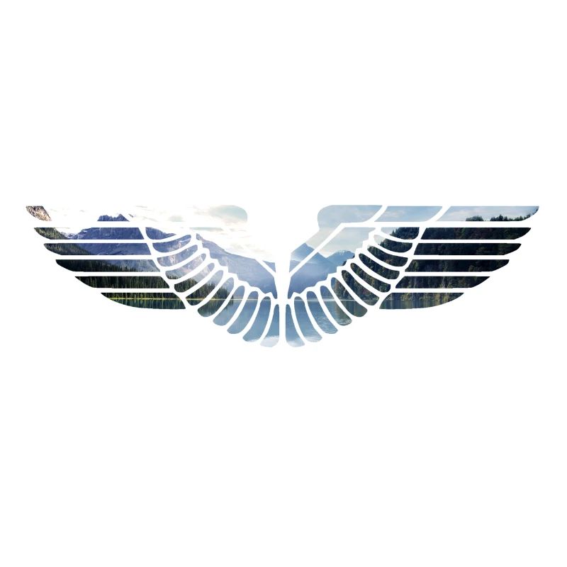 Eagle wing emblem
