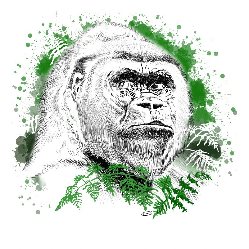 Gorilla