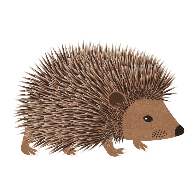 Igel