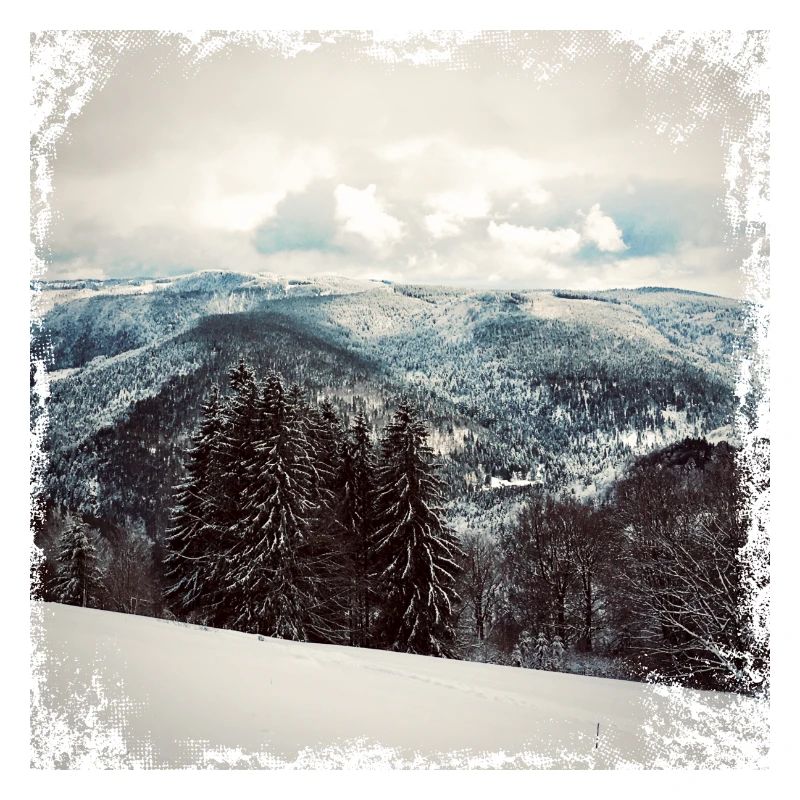 Schwarzwald