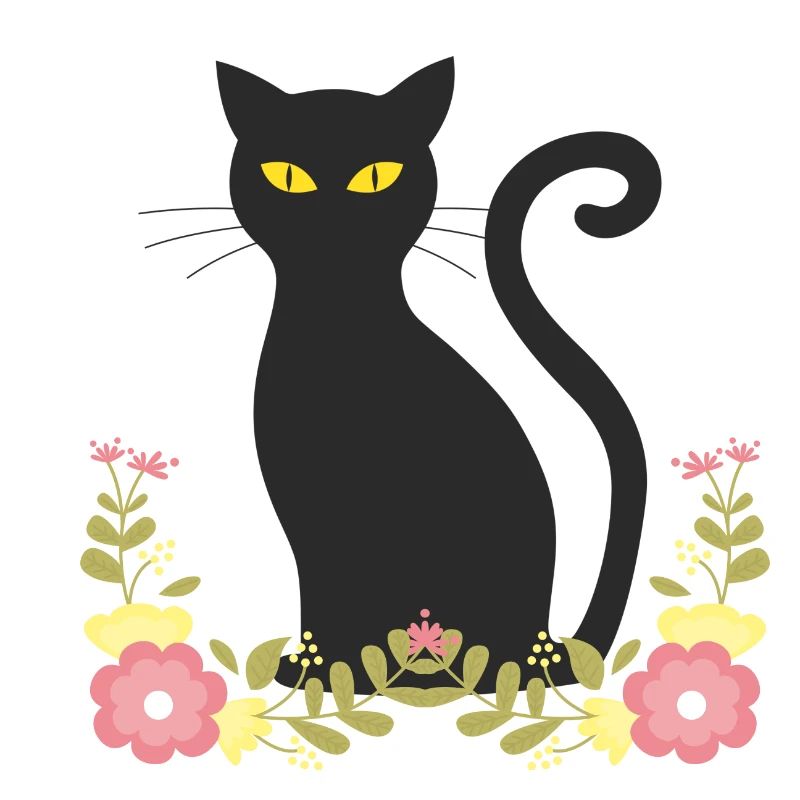 Schwarze katze