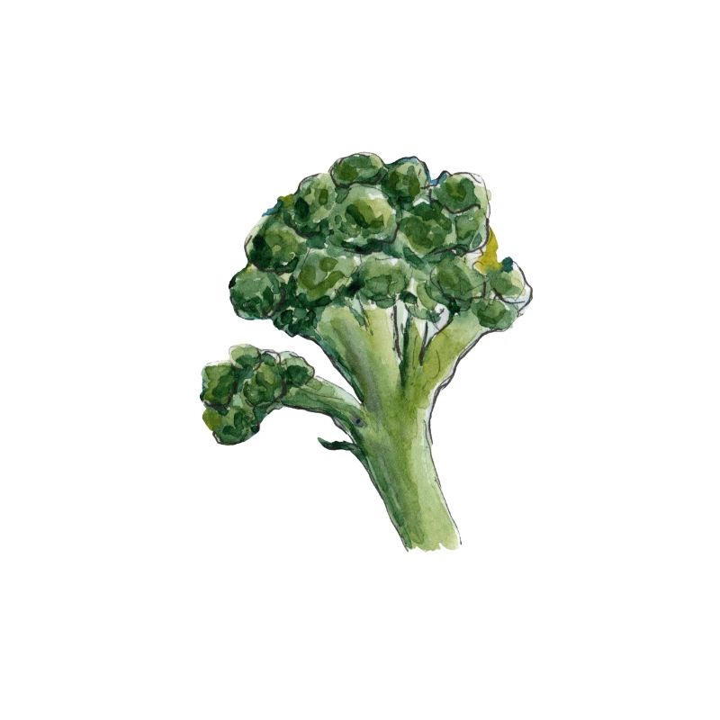 broccoli