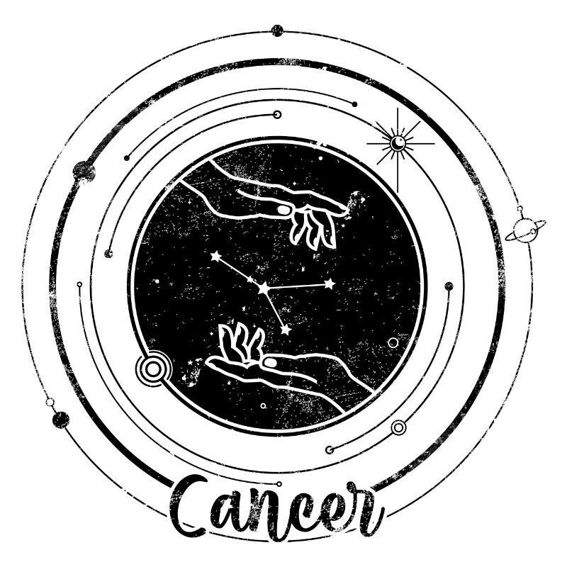 Midnight Spark Silhouette