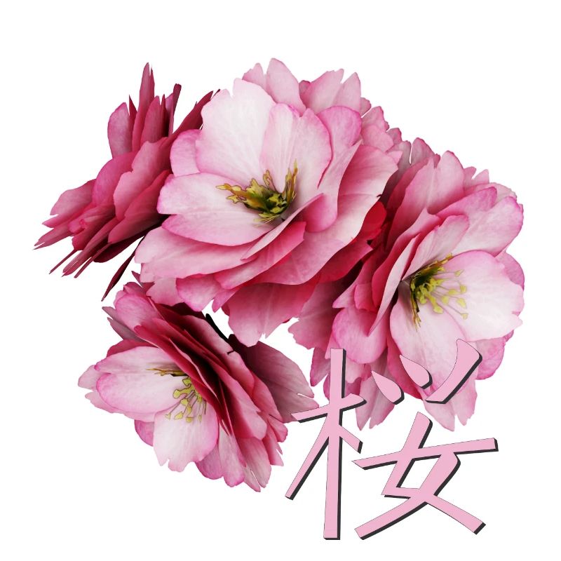 Fleur de cerisier