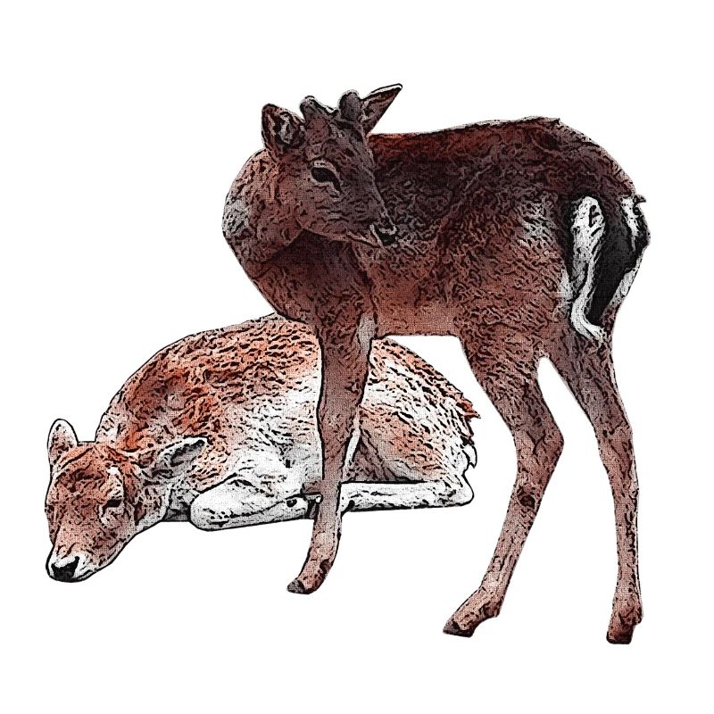 Hirschbabys, schenken Mädchen, niedlich