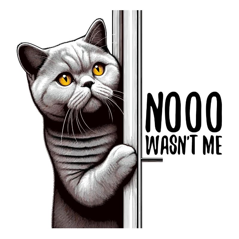 Nein war ich nicht BKH Blue Katze Geschenk