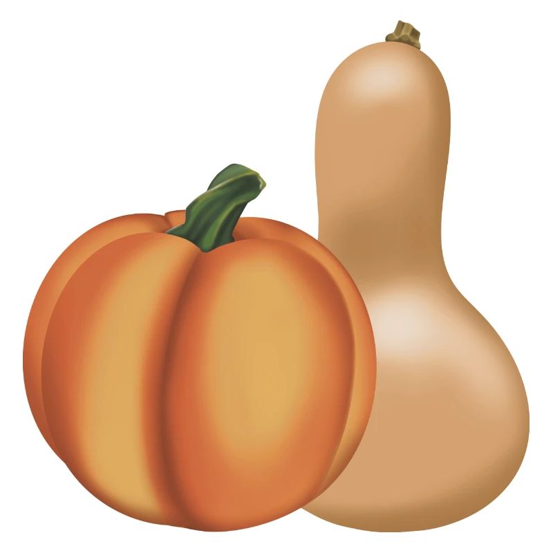 Painted Pumpkins, Rustic Fall Illustration