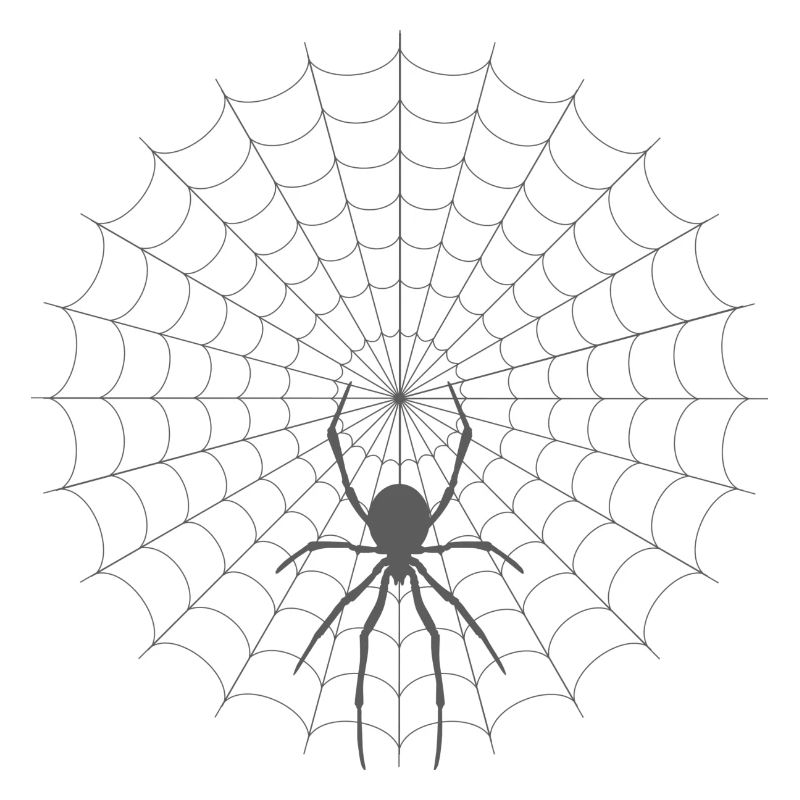Spinnennetz Silhouette