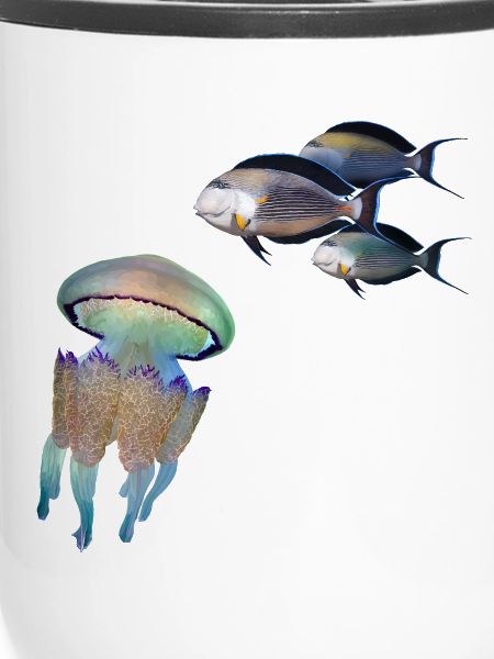 Qualle