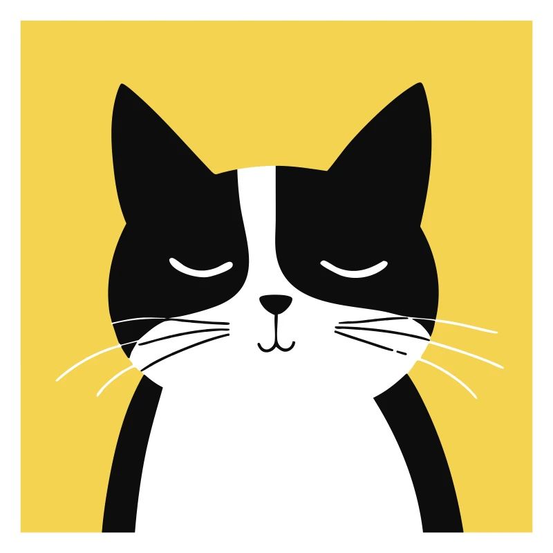 Chat noir et blanc minimaliste