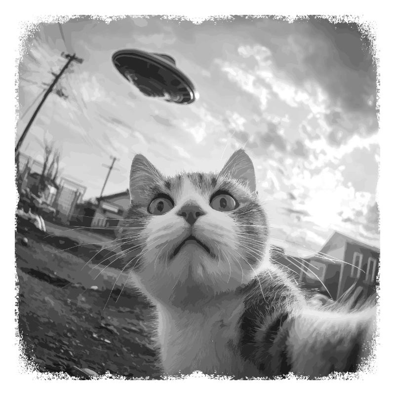 Katze und UFO