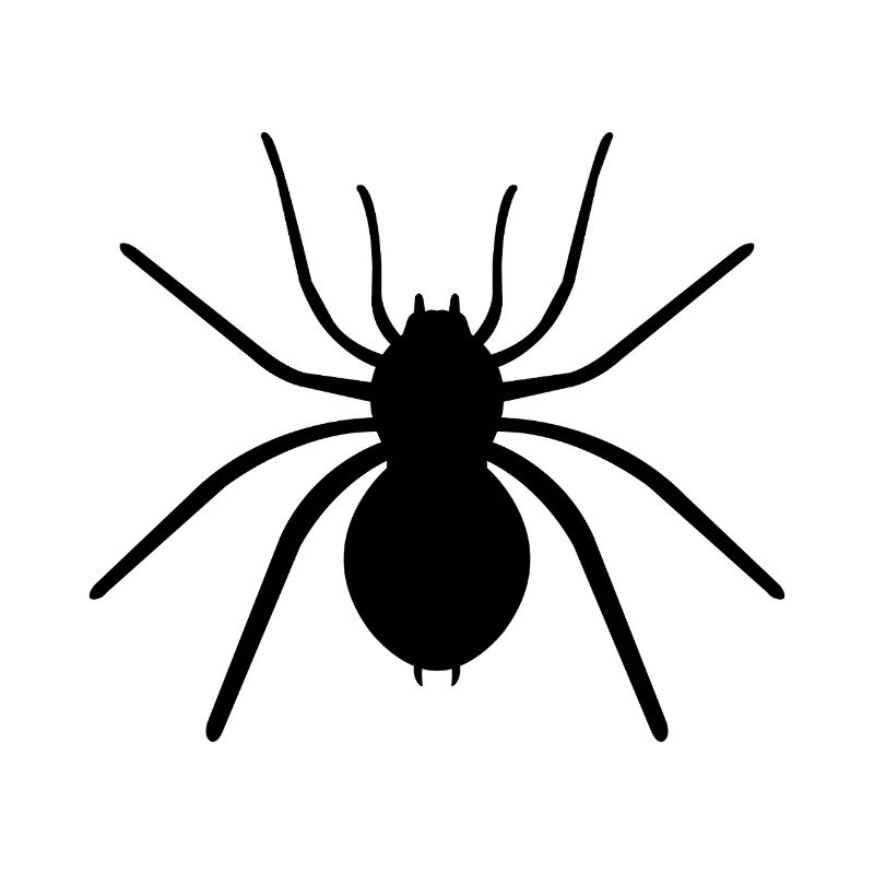 Spinne