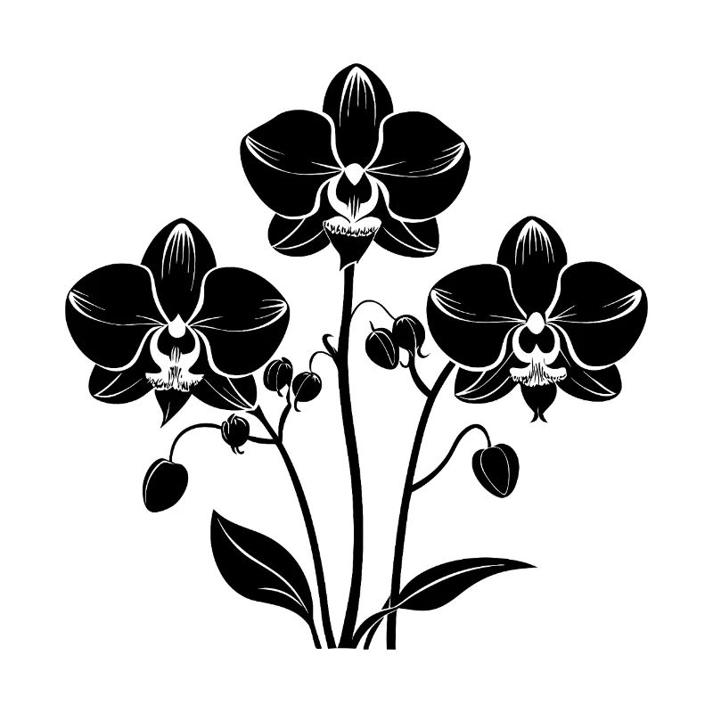 Orchids