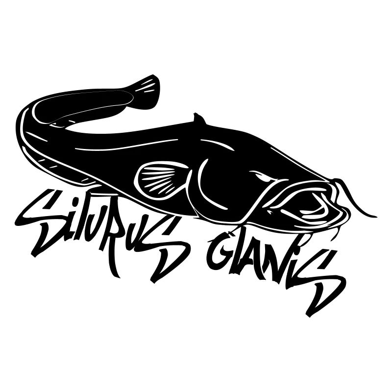 silurus glanis2