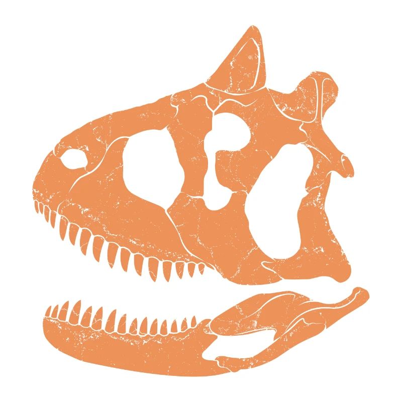 Carnotaurus Fossil Schädel
