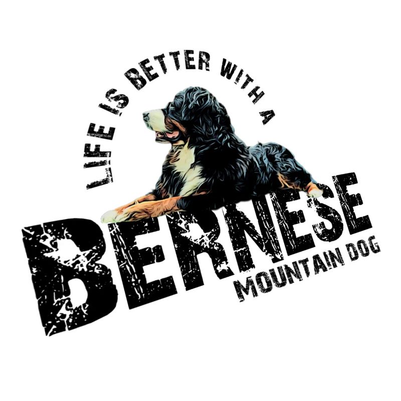 Berner Sennenhund
