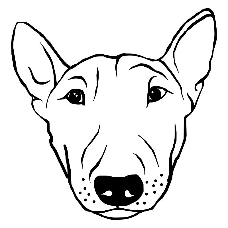 Bullterrier
