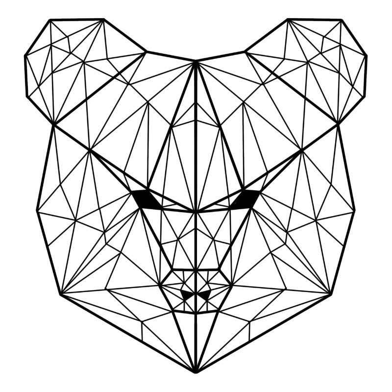 Bear geometric