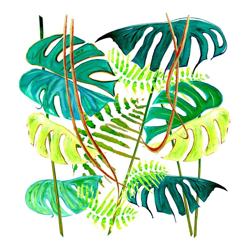 Monstera-Regenwald