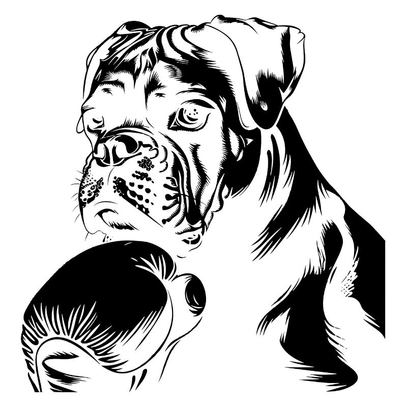 Boxer Dog Drawing