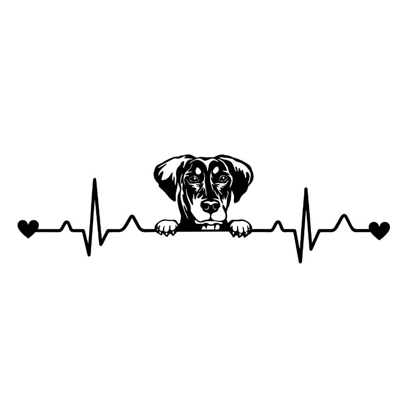 Dobermann Heartbeat Pulse ECG