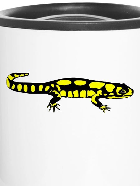 Salamander