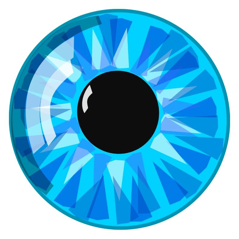 Auge