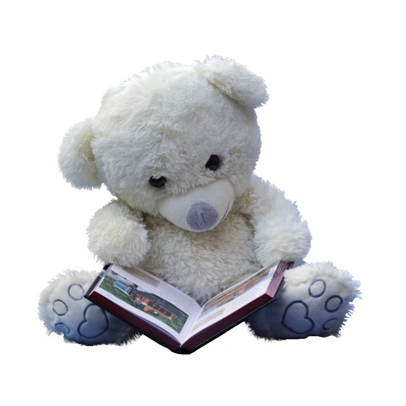 Teddy
