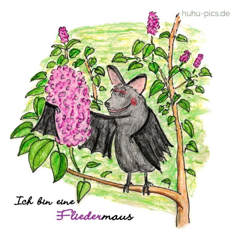 Fliedermaus