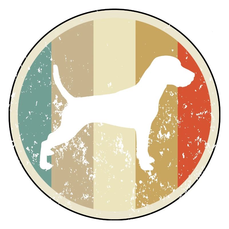 Parson Russell Terrier