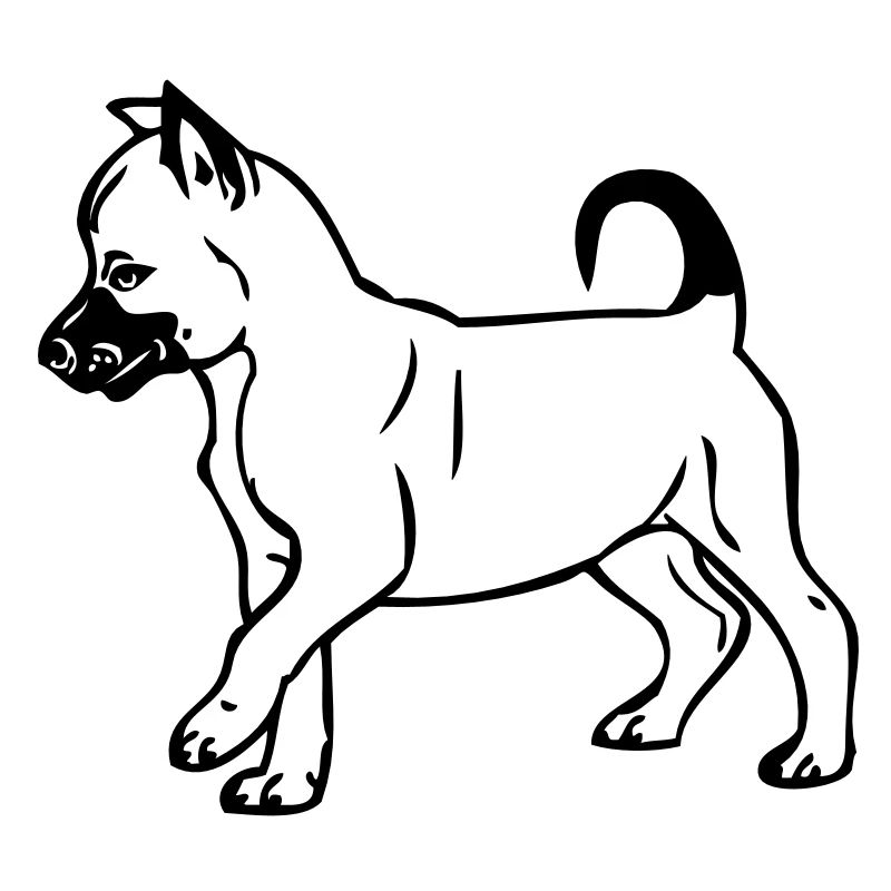 malinoispup00010