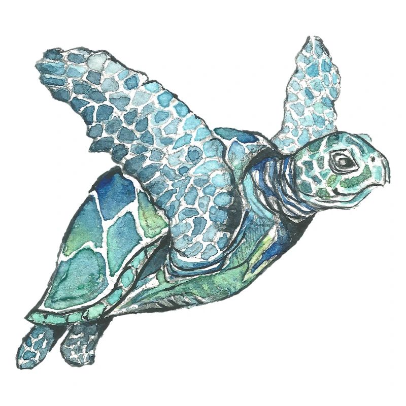 sea turtle