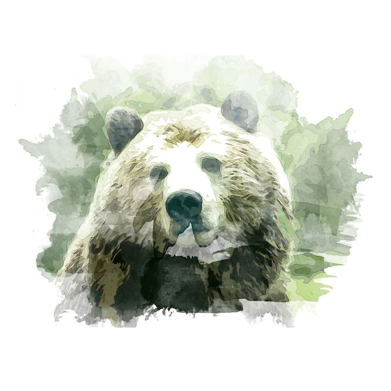 Bär