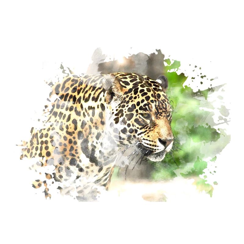 leopard