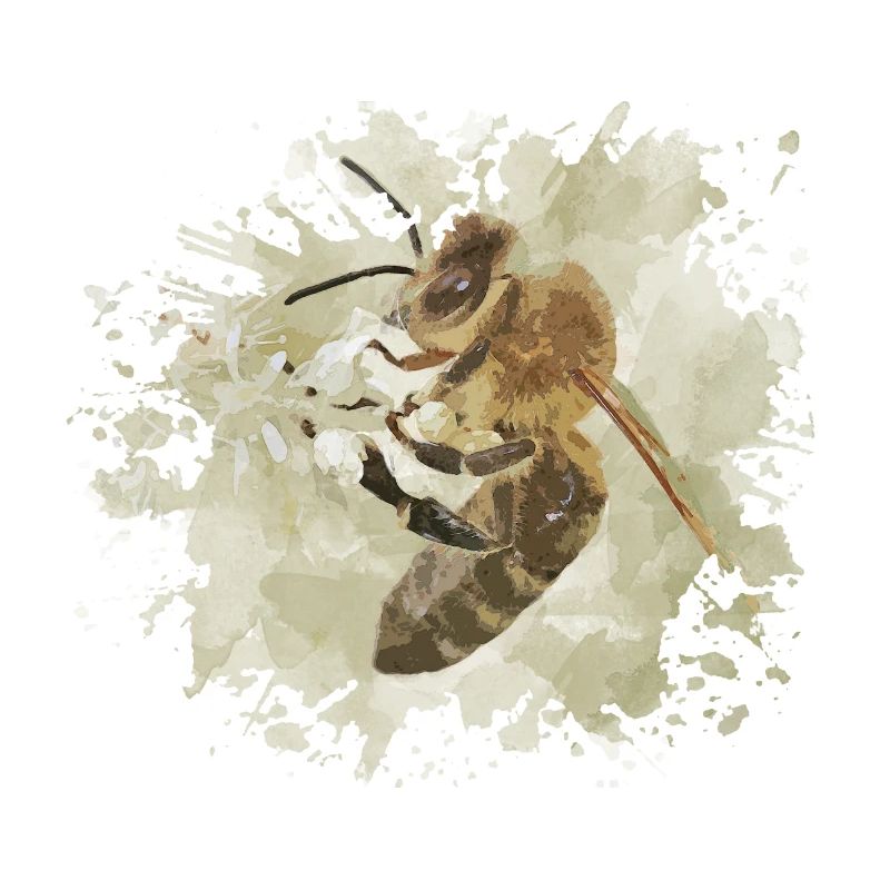 bee