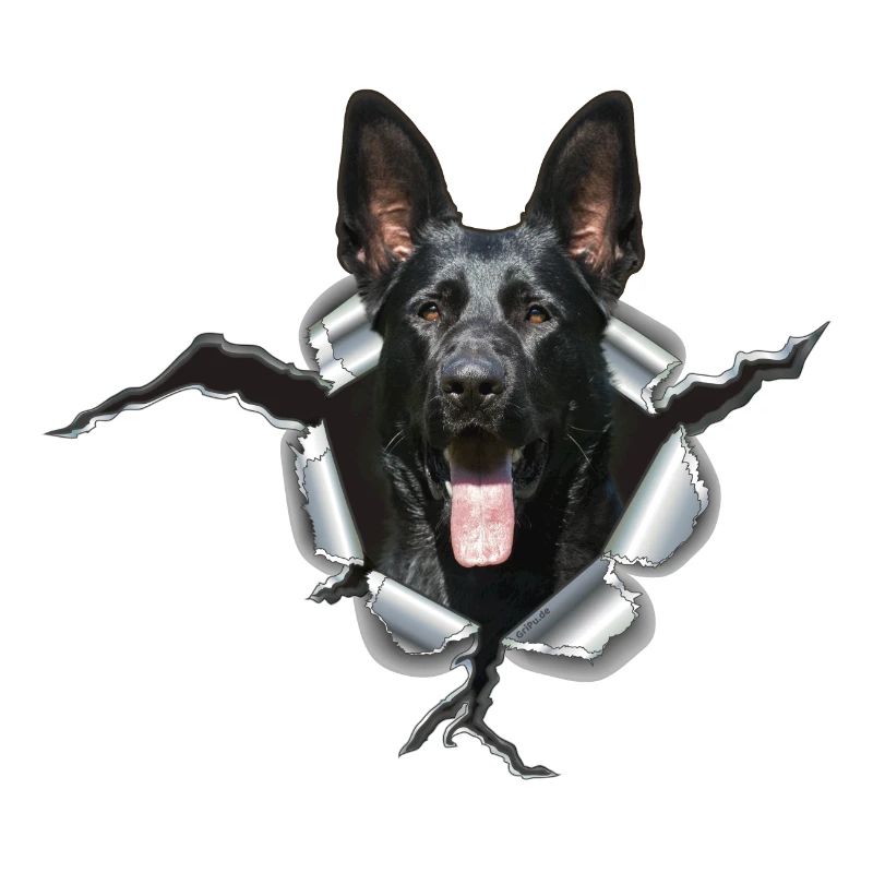 Schwarzer Schäferhund im Metall Loch