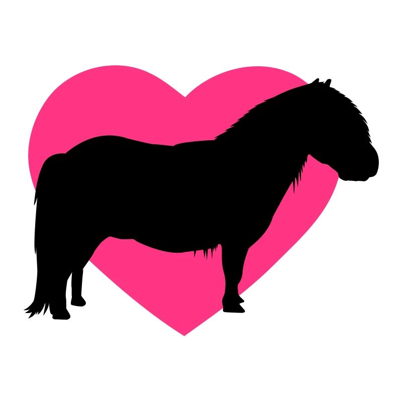 Pony und Herz