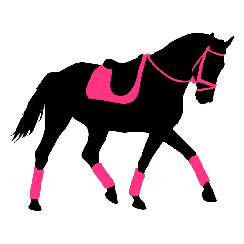 Dressurpferd Pferd