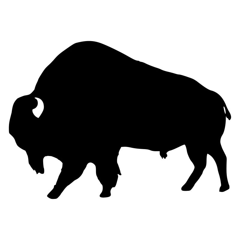 Bison