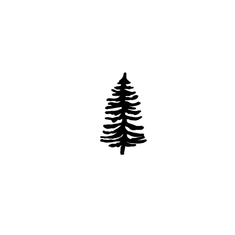 fir tree