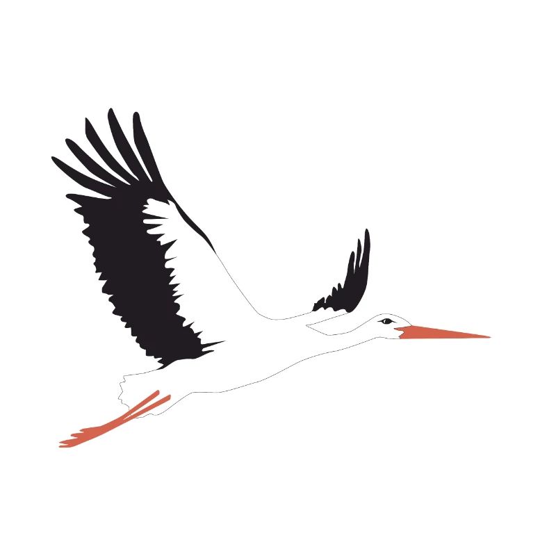 Storch fliegt