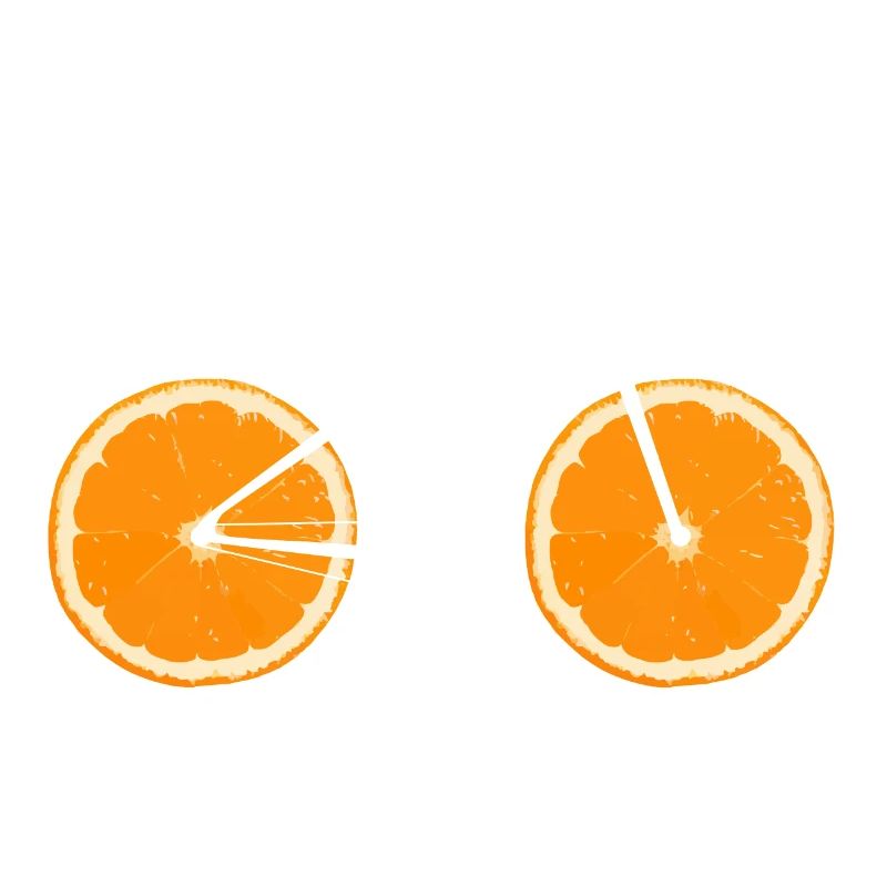 Fruit Bicycle Lemon Lime Orange / Gift