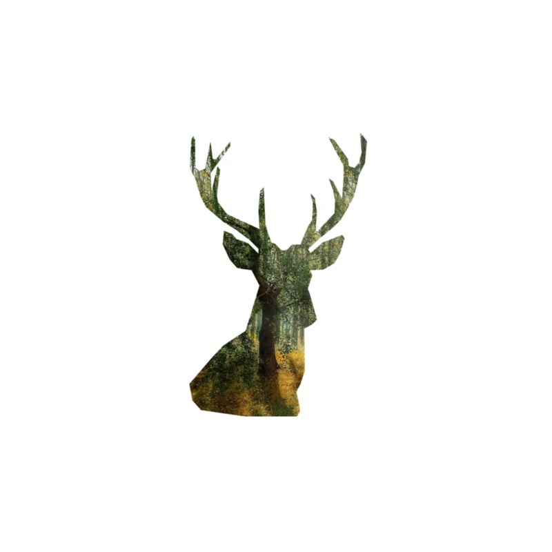 cerf