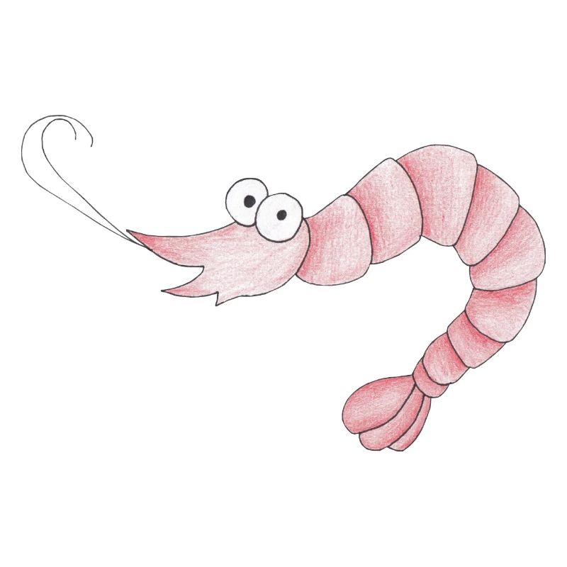 Garnele